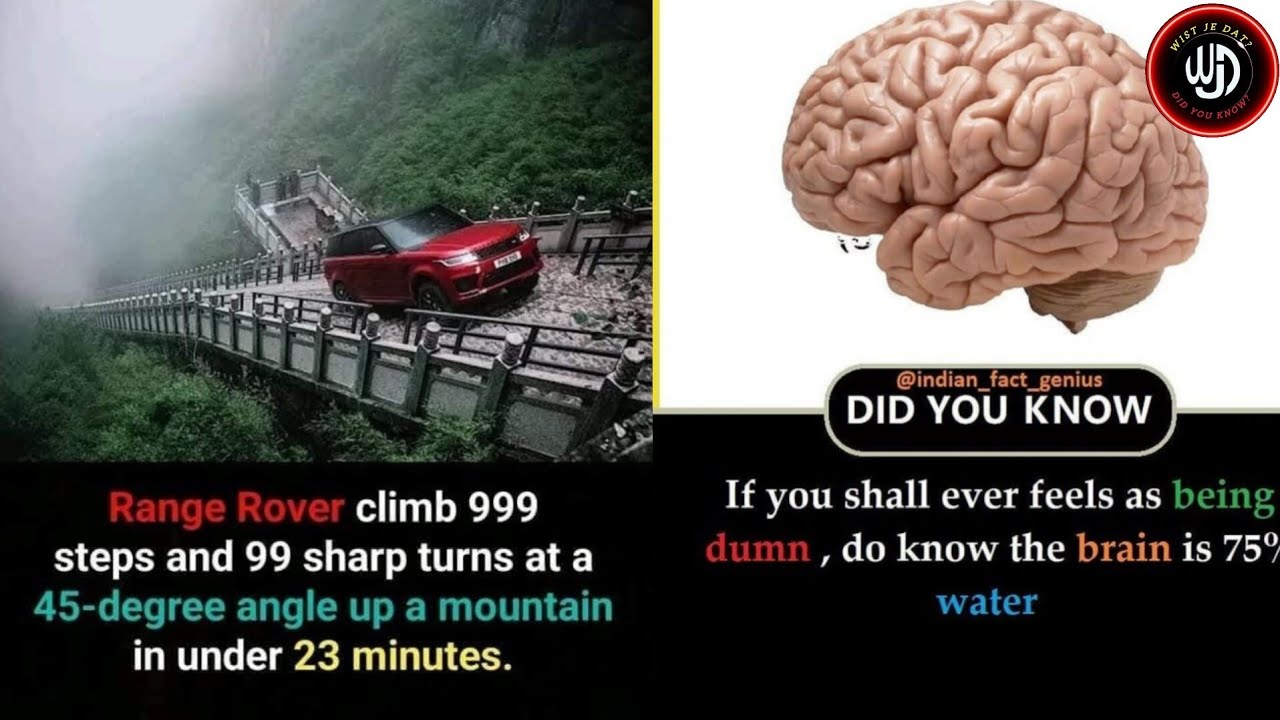 Did you know? interesting facts? @wistjedat-s7i EPISODE-71