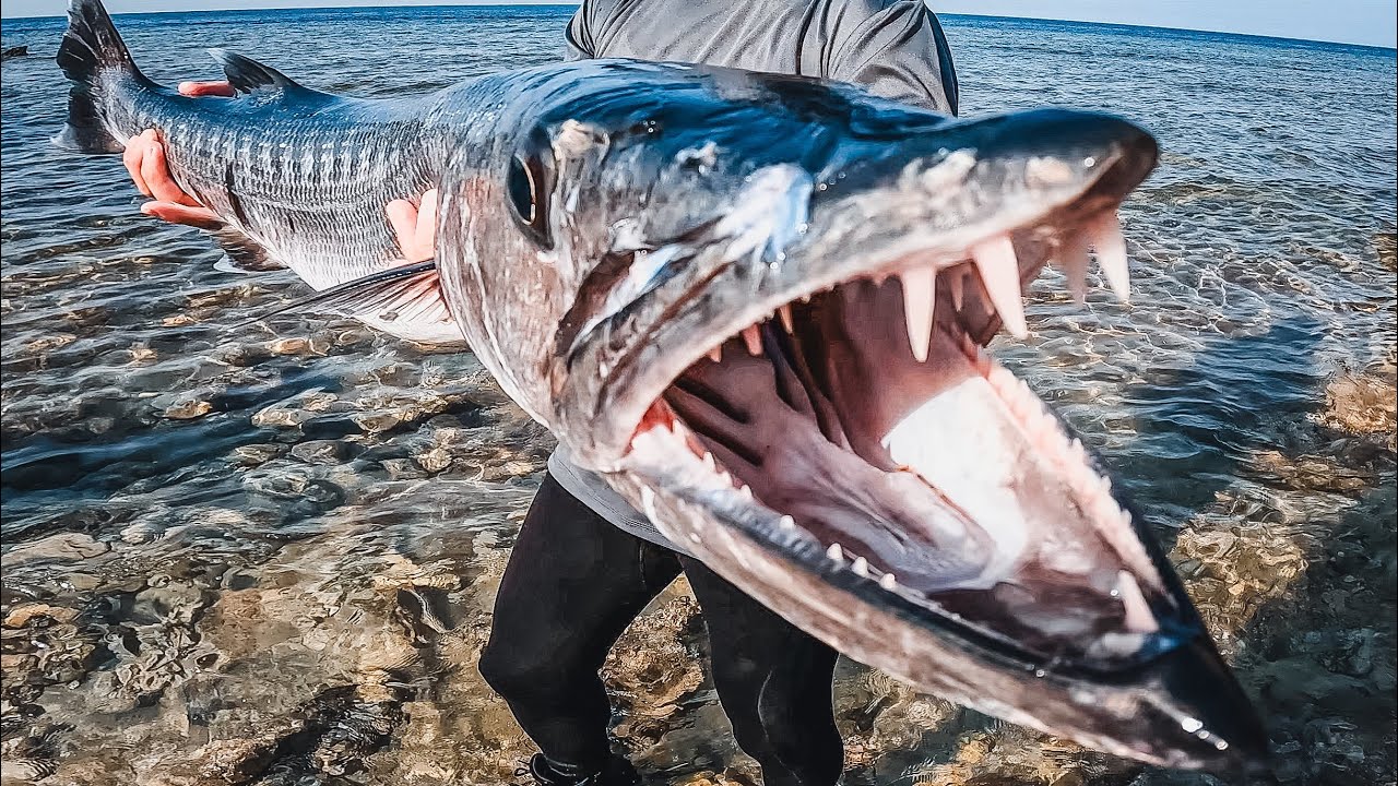 Mr Cuda / The Underwater Butcher