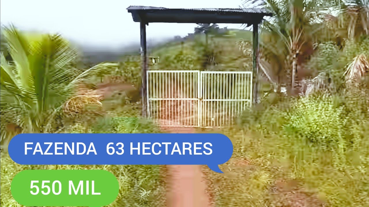 FAZENDA COM 63 HECTARES NA CIDADE 