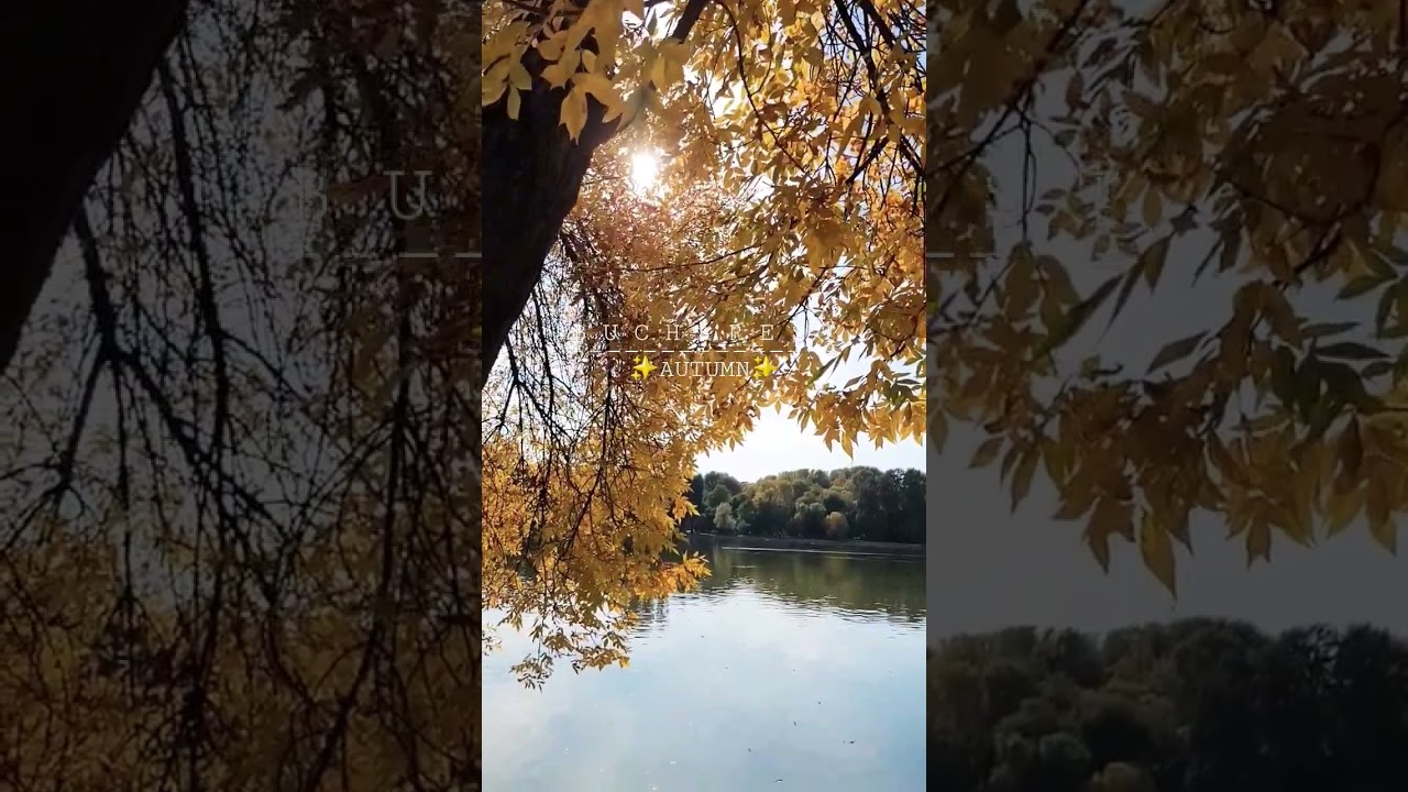My first #autumn in #romania 🍁✨️🍃       #europe #fall #happy #travel #bucharest  #amazing