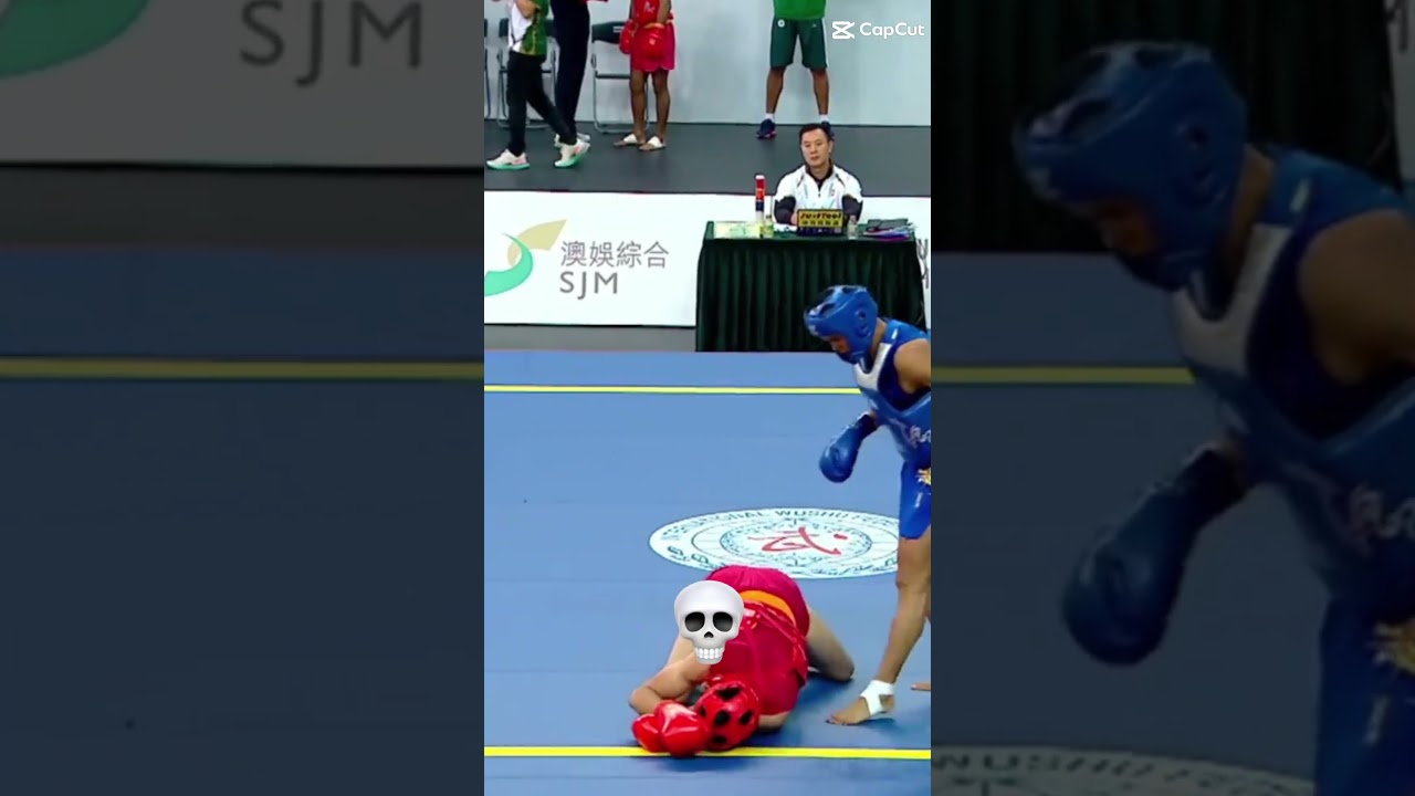 some highlights WUSHU-SANDA