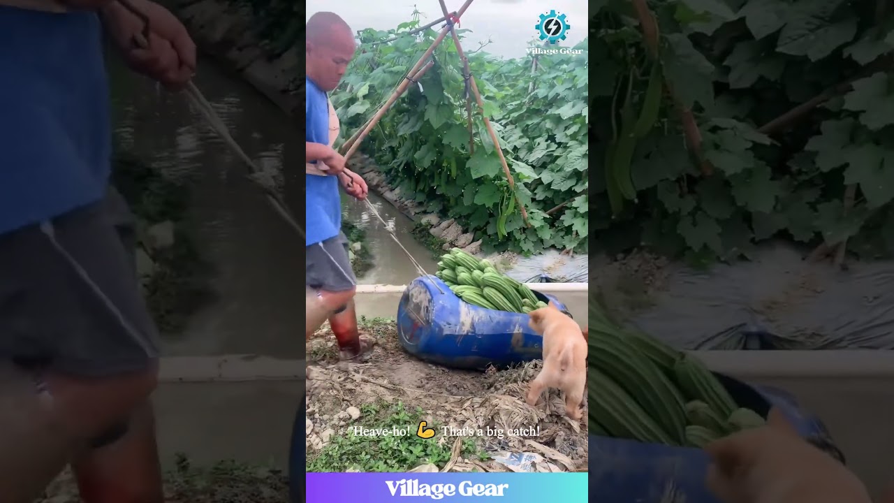 Veggie Canal Cruise! 🛶 This Farmer's Harvest Float is GENIUS! #farminglife  #funny #innovation