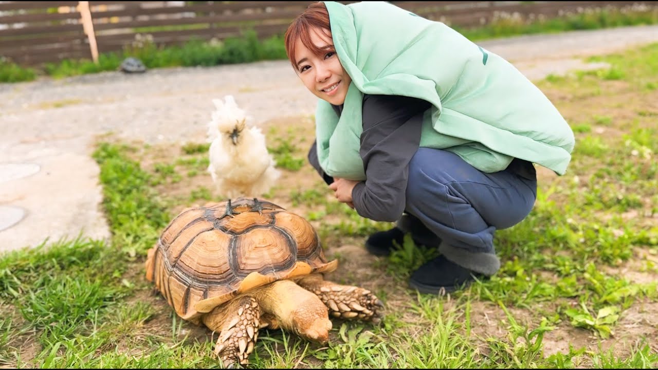 月に1度ママがおかしくなります