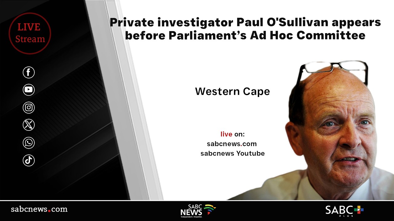 Paul O'Sullivan appears before Parliament’s Ad Hoc Committee | 11 February 2026
