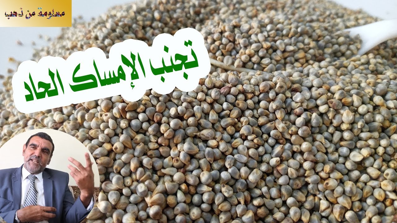 معلومة من ذهب الدكتور محمد الفايد   بحبوب الدخن ضع حدا لمشاكل القولون و هشاشة العظام