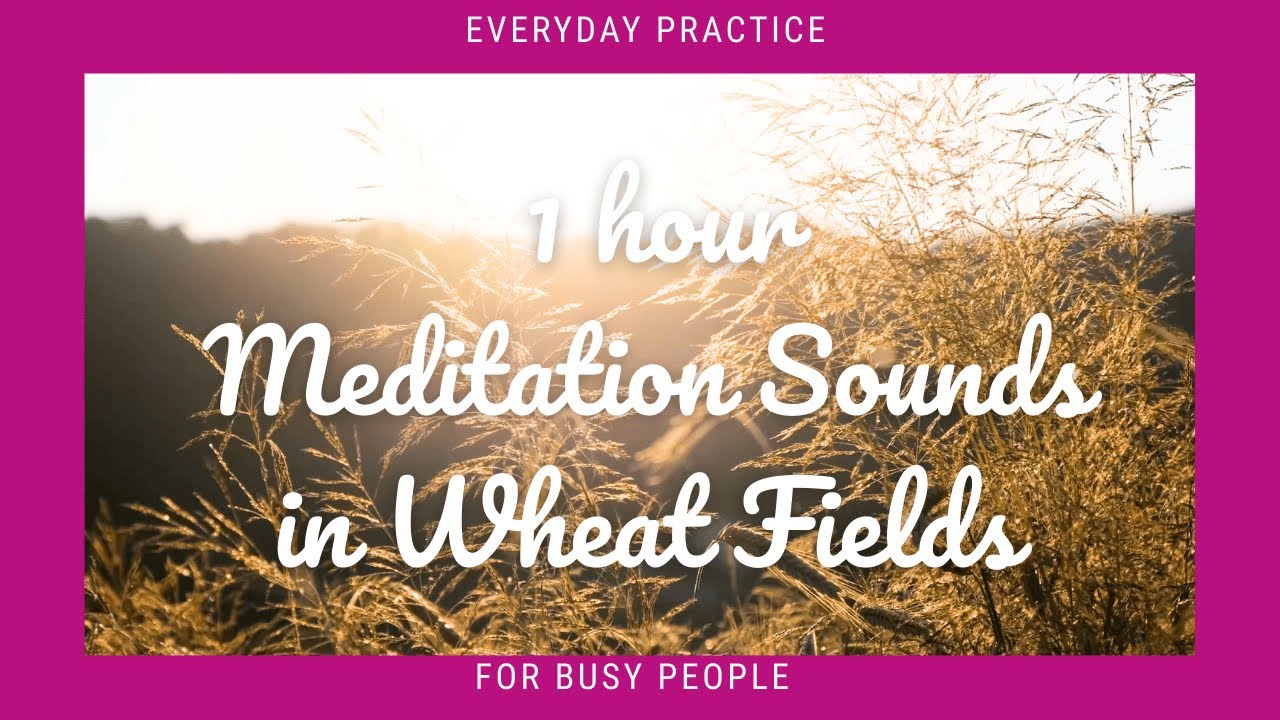 1 Hour Mindful Rest | Relaxing Nature Sounds for Calm & Recovery
