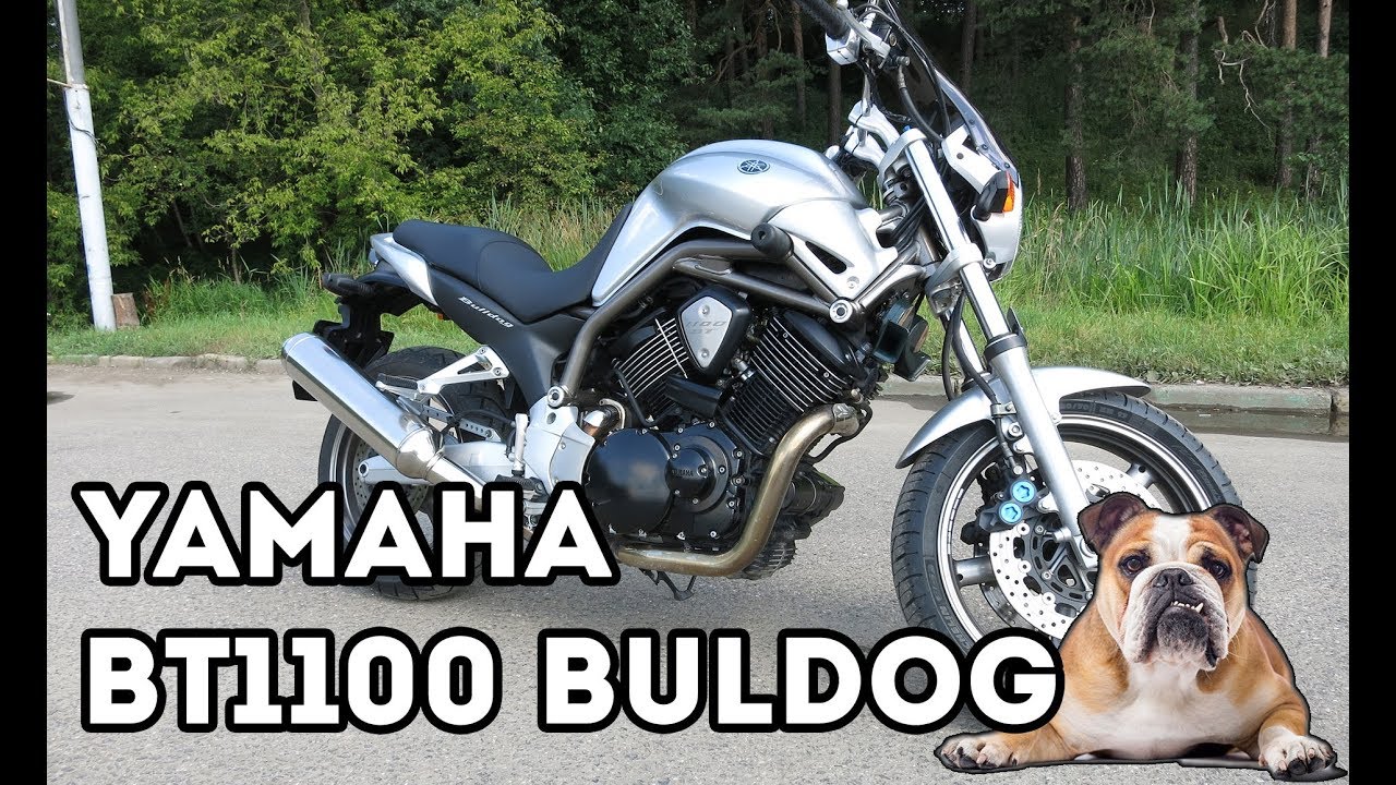 Обзор Yamaha BT1100 Bulldog