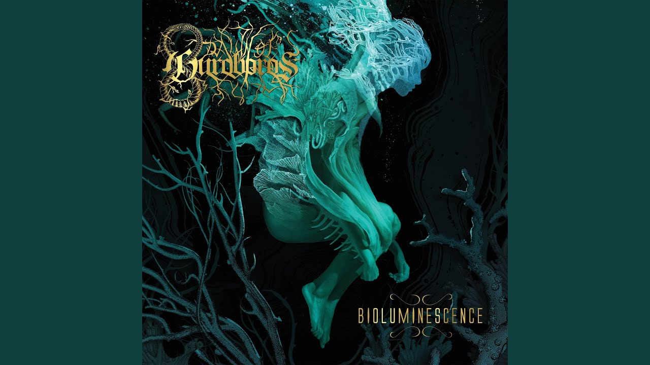 Bioluminescence
