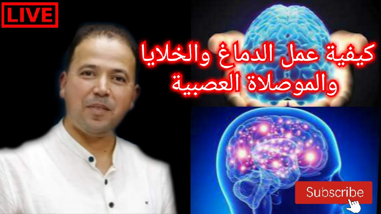 🔴 سلسلة صحة الدماغ🧠 وكيفية عمل الخلية والموصلاة العصبية|الاستاذ محمد احليمي اختصاصي الحمية العلاجية
