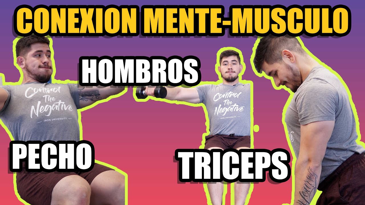 Rutina de Pecho, Hombros y Triceps - CONEXION MENTE MUSCULO