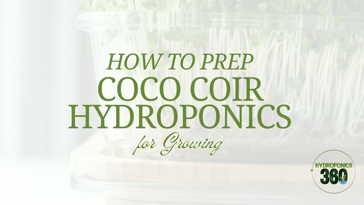 How to Prep Coco Coir for Growing - hydroponics360.com