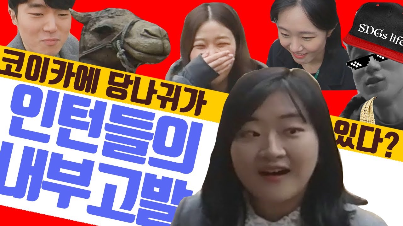[코이카에 왜 왔니] 인턴들이 직접 말하는 KOICA 인턴! (feat.당나귀, 낙타, 헬리콥ㅌ...)