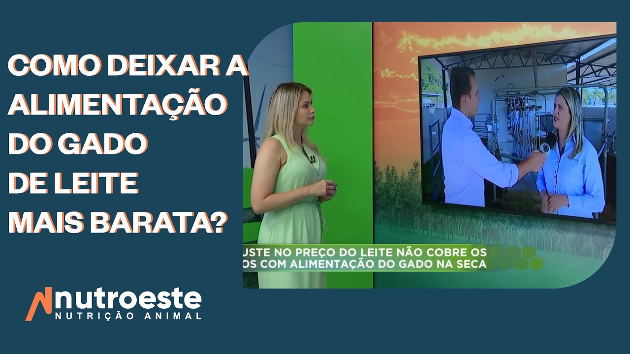 Como Deixar a Alimentação do Rebanho Leiteiro Mais Barata?