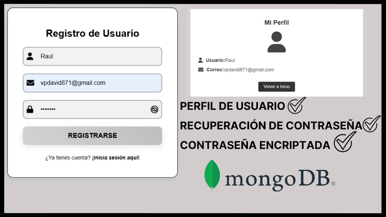 CÓMO HACER UN LOGIN FUNCIONAL EN HTML-CSS -JS Y PYTHON