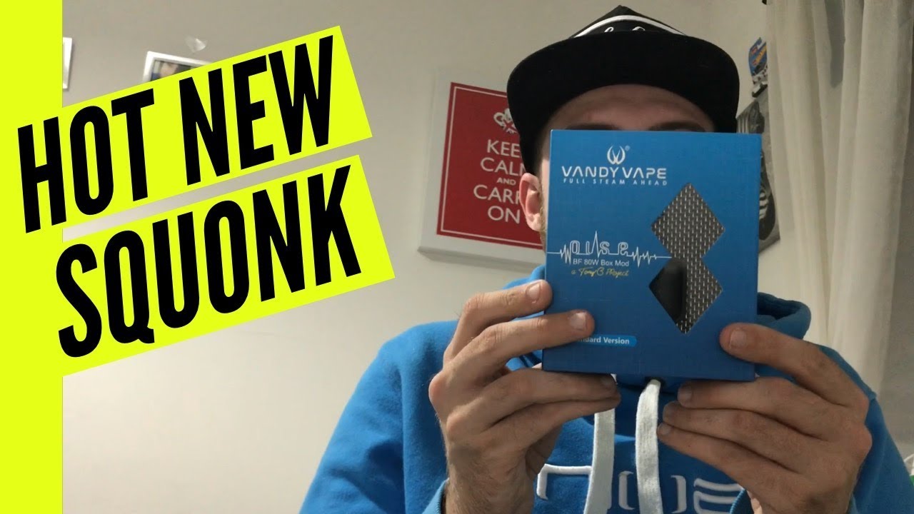 VANDYVAPE PULSE 80W UNBOXING & REVIEW