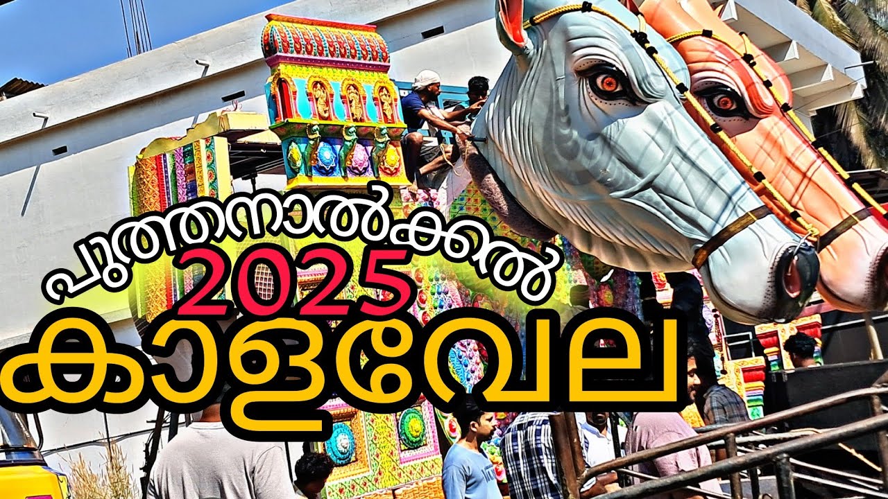 പുതിയ കാളകളുടെ തട്ടകം 😍 പുത്തനാൽക്കൽ കാളവേല 2025💥 പകൽ #part1 #Puthanalkkal #kalavela