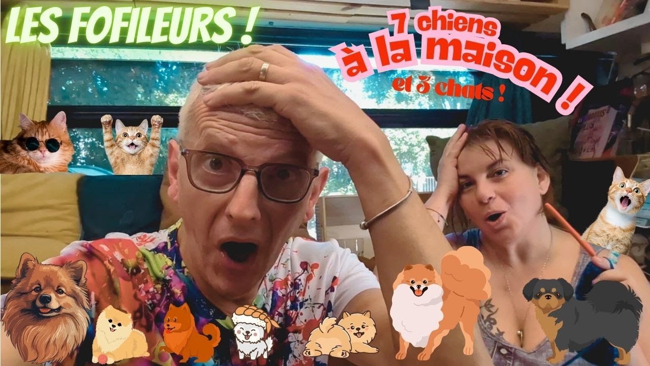 7 chiens et 3 chats ,  sérieux ???