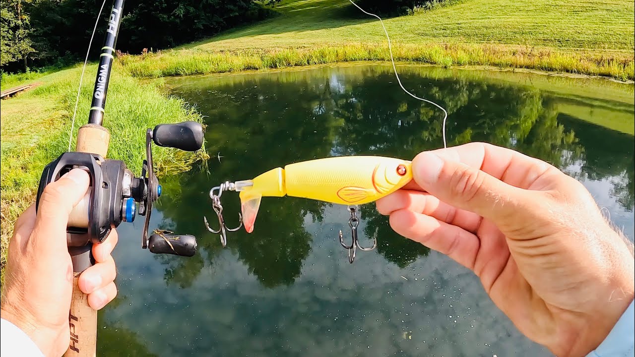Pond Bass EXPLODE On Whopper Plopper ft. Himiway Zebra Electric Bike