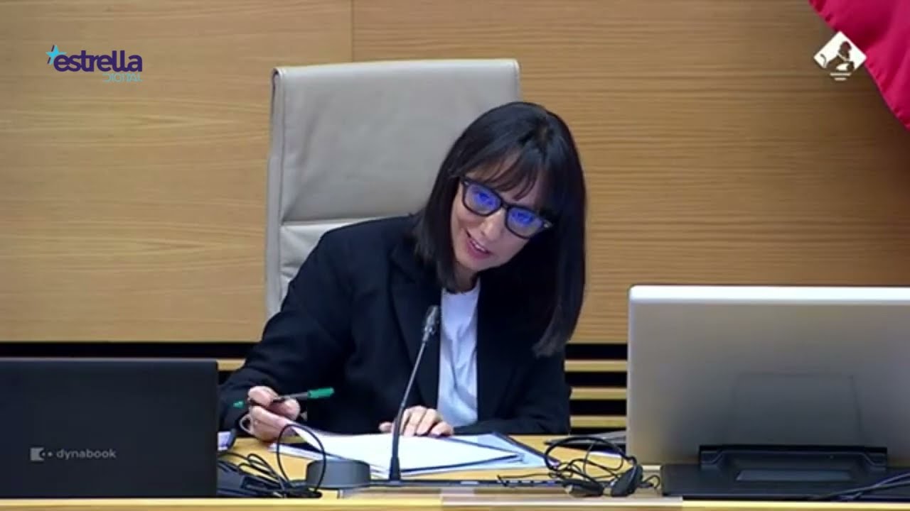 Comparecencia de la directora general de la Guardia Civil en la Comisión de Interior del Congreso