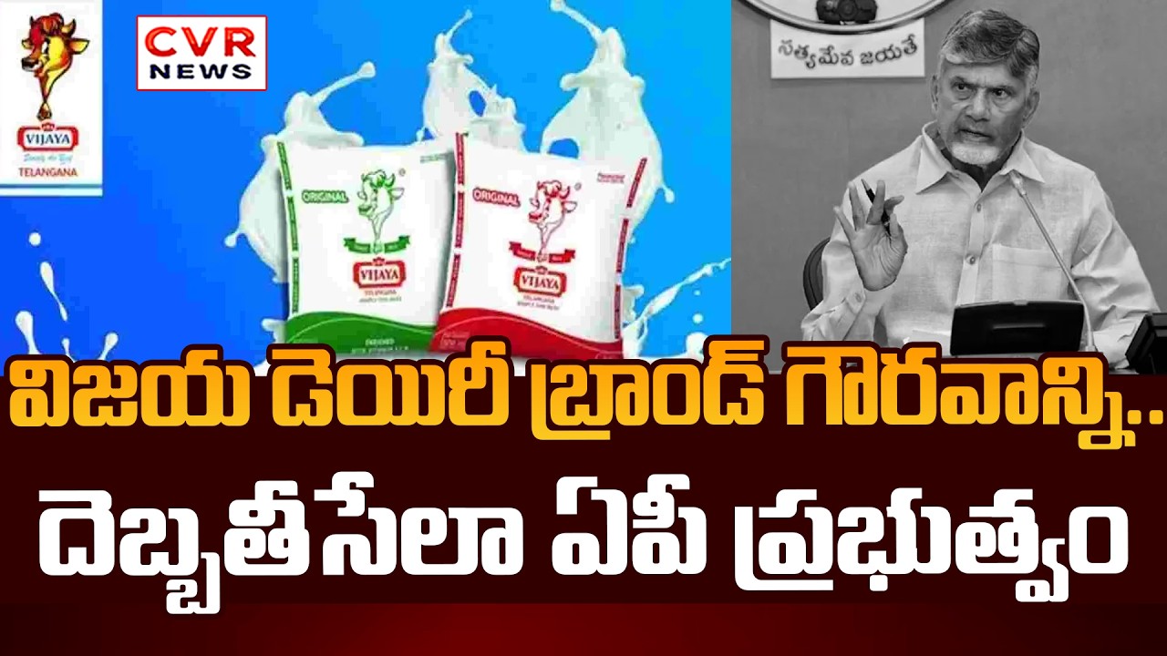 AP Government Damage To Brand Of Vijaya Dairy || CVR News