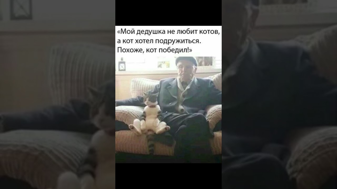 #анегдотысмешные #шуточное #смехпродлеваетжизнь #юмор