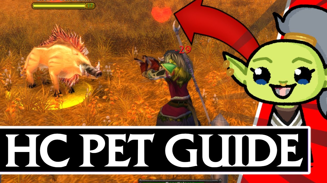 So funktionieren Pets in Hardcore Vanilla World of Warcraft