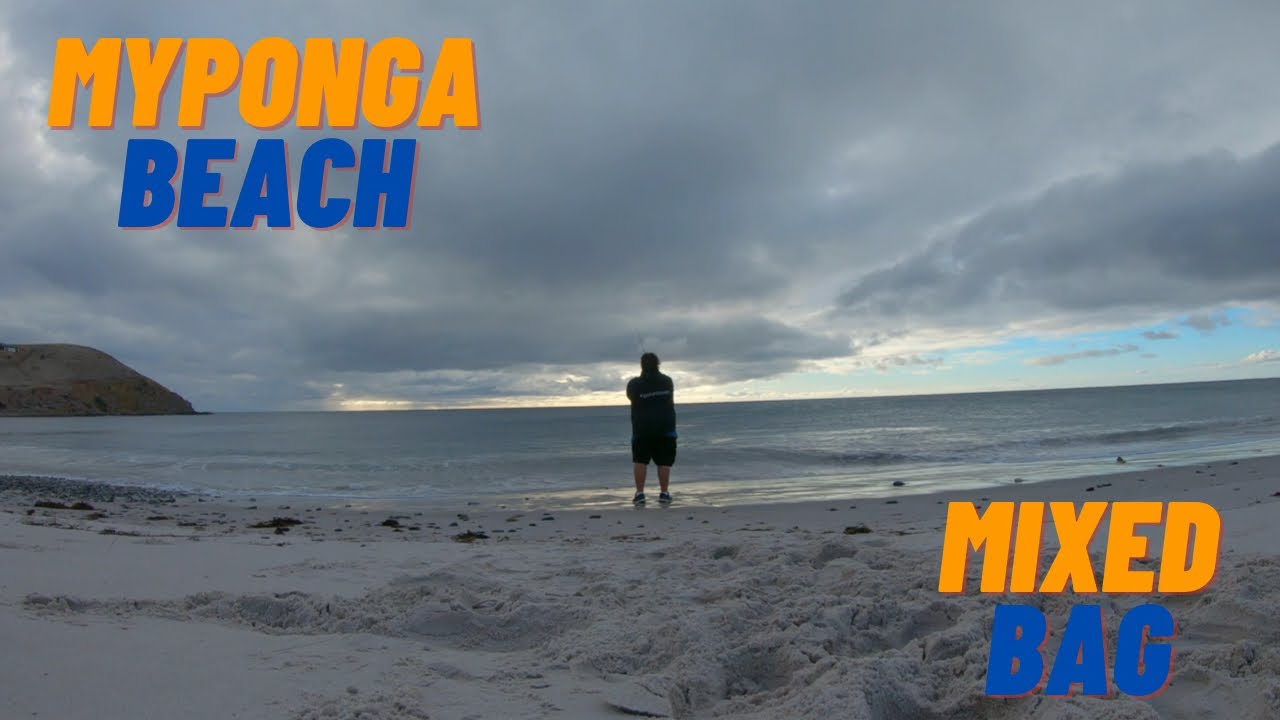 Myponga Beach | Fishing With MULLET MIX | Multiple Species | Fishing South Australia