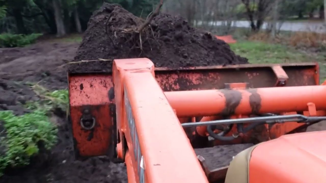 Kubota BX 25 digging the dirt, back-blading, bulldozing, and utter chaos.