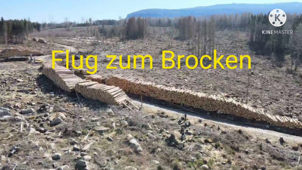 03/2021 Harz