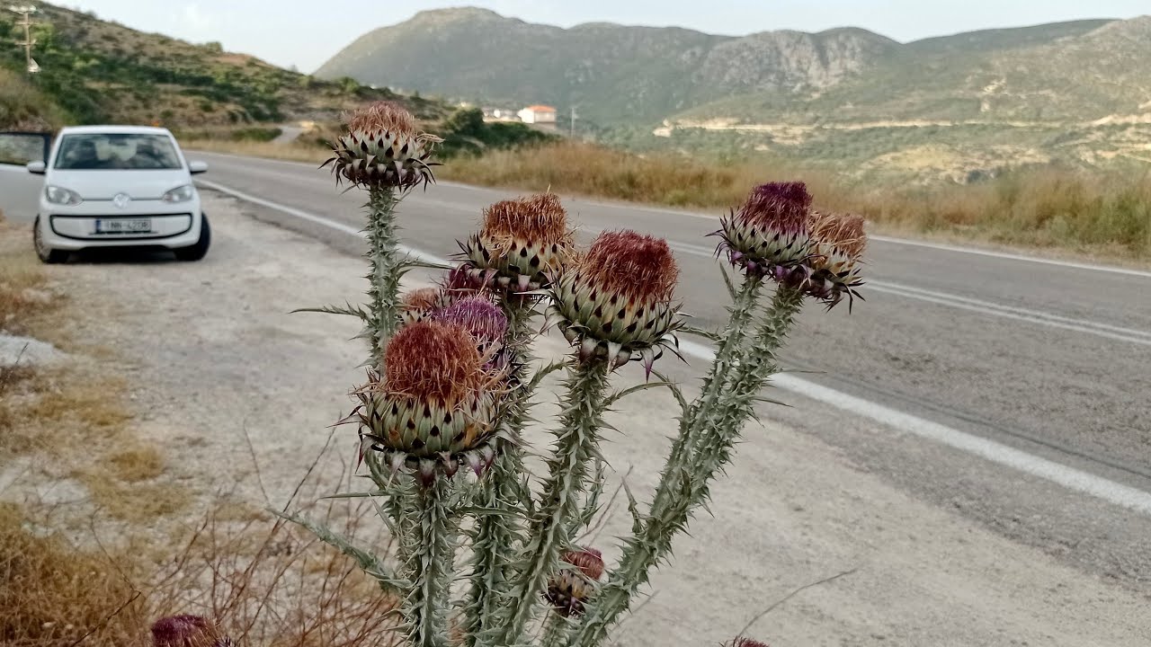 Kefallónia 1. rész: Argostoli, Lassi/Cephalonia part1: Argostoli, Lassi