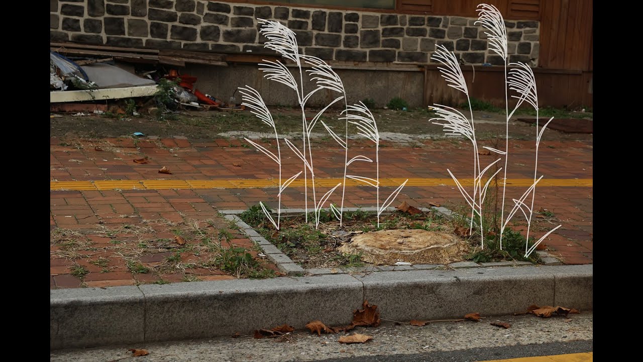 잘려버린 가로수에게 친구 만들어주기 | Making a friend to the stump | Guerrilla Gardening Project