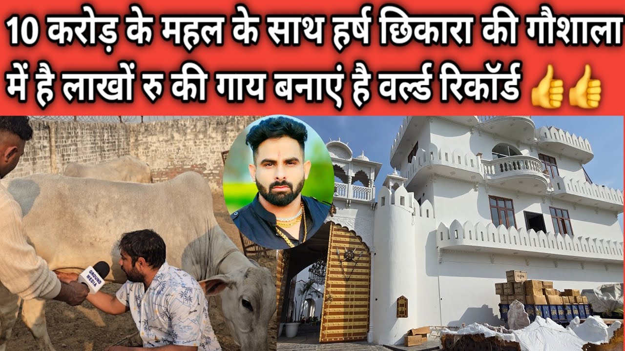 10 करोड़ के महल के साथ हर्ष छिकारा की गौशाला में है लाखों रु की गाय बनाएं है वर्ल्ड रिकॉर्ड 👍👍
