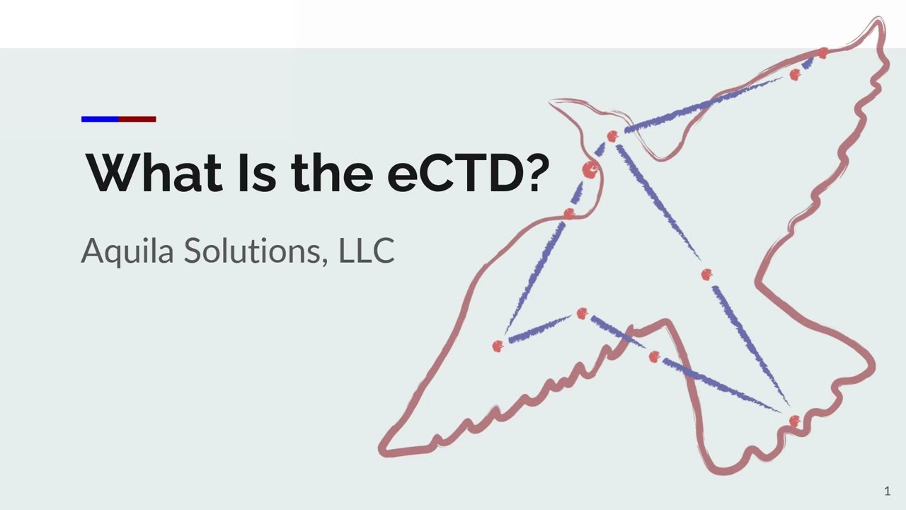 What Is the eCTD?