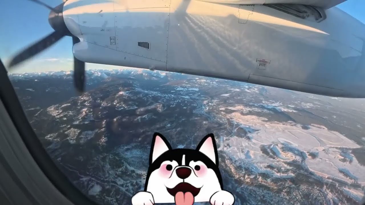 Come Fly With Me