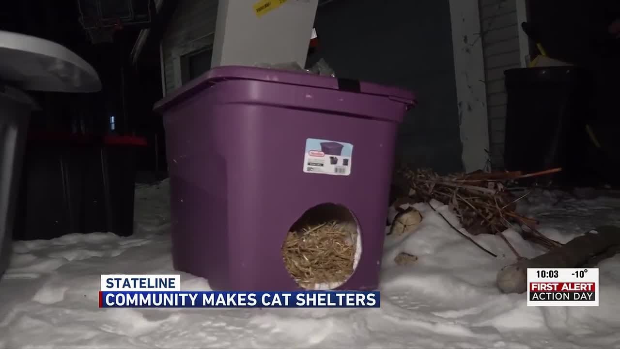 Stateline residents step up to protect animals as wind chills plunge below zero