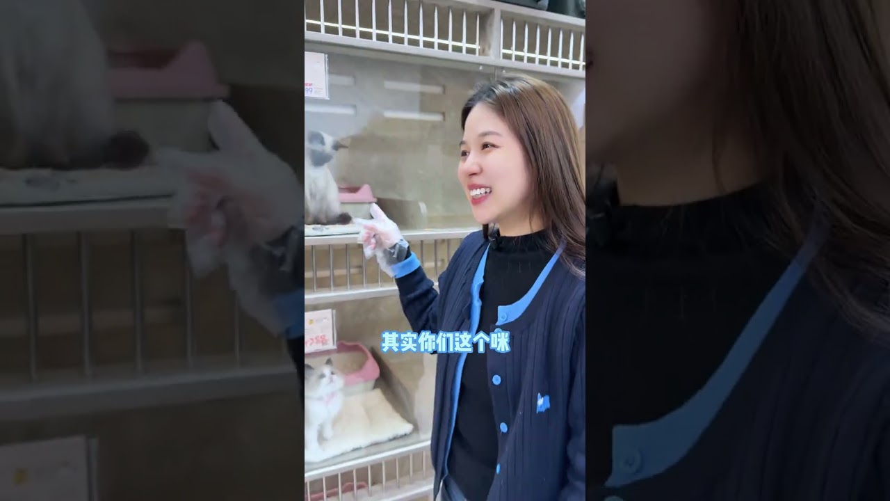 Beware the Cat Loan Trap: Sister Mi's Trust Wins the Day