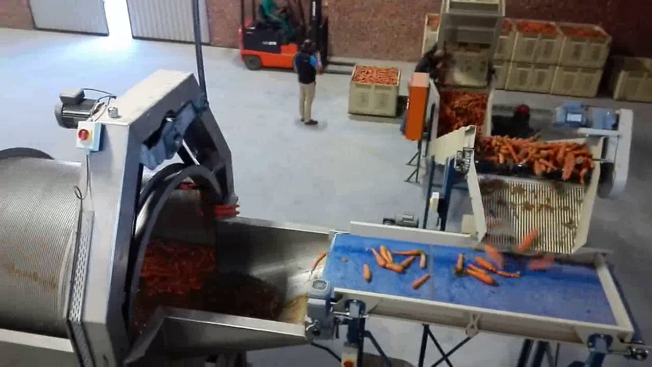 Carrot washing line