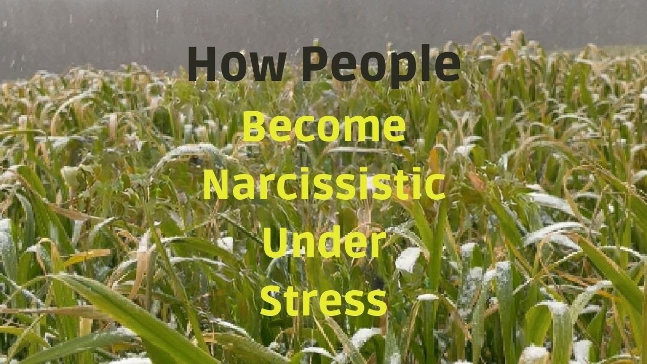 How People Become Narcissistic Under Stress