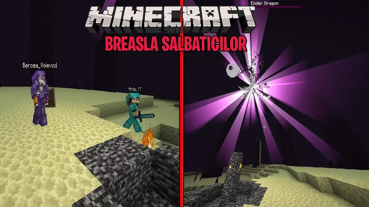 AM BATUT DRAGONUL PE BREASLA SALBATICILOR!