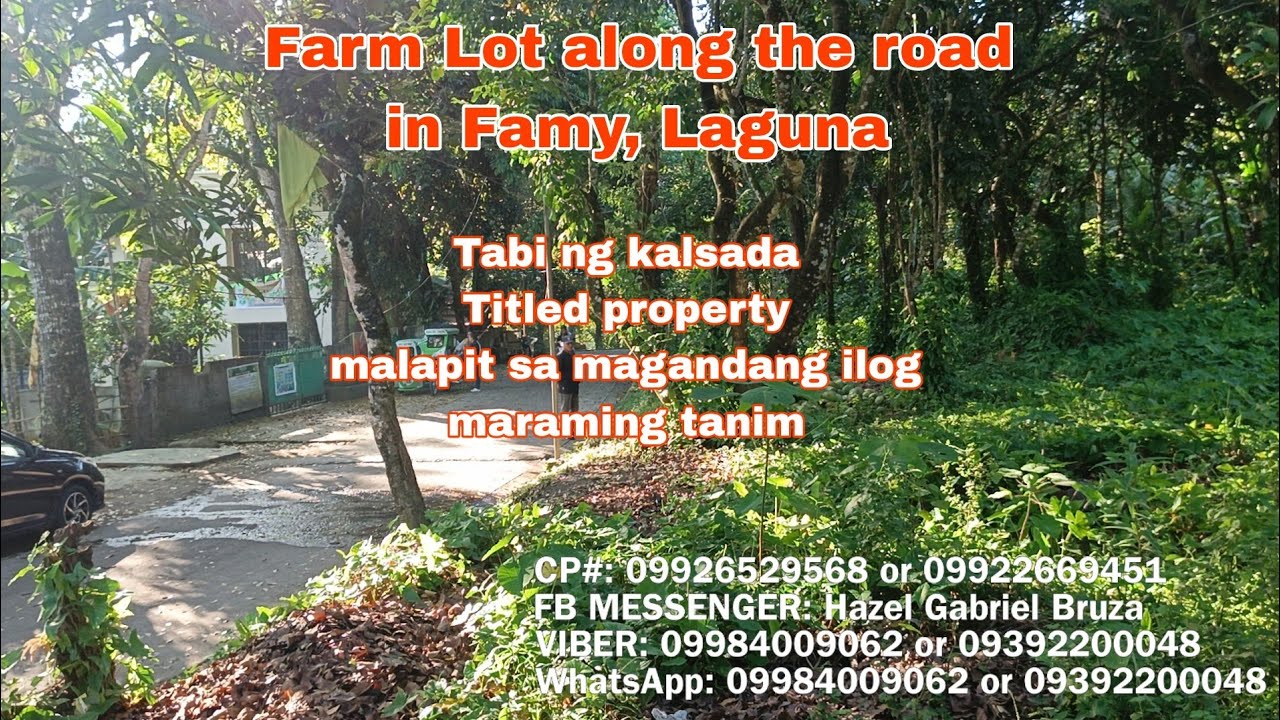 (P# 686) 4 hectares Farm lot @ 500/sqm negotiable price in Famy, Laguna for sale