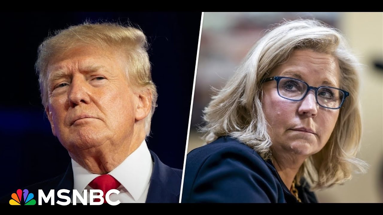 LIz Cheney is the 'only Republican left with a backbone': McKinnon