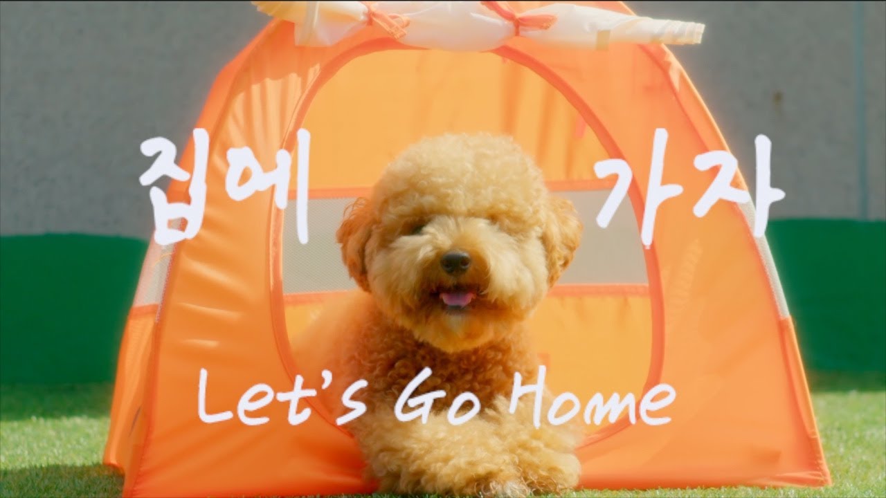 [Official MV] 스텔라장(Stella Jang) - 집에 가자(Let's Go Home)(ENG sub)