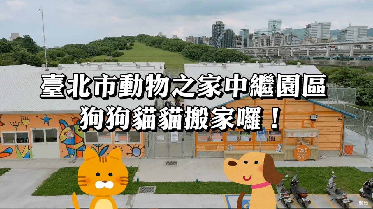 臺北市動物之家中繼園區 狗狗貓貓搬家囉！ 紀錄片 #臺北市動物之家 #認養不棄養