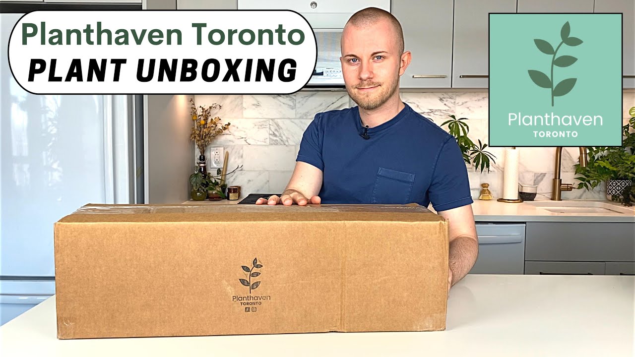HUGE Rare Plant Unboxing | Planthaven Toronto
