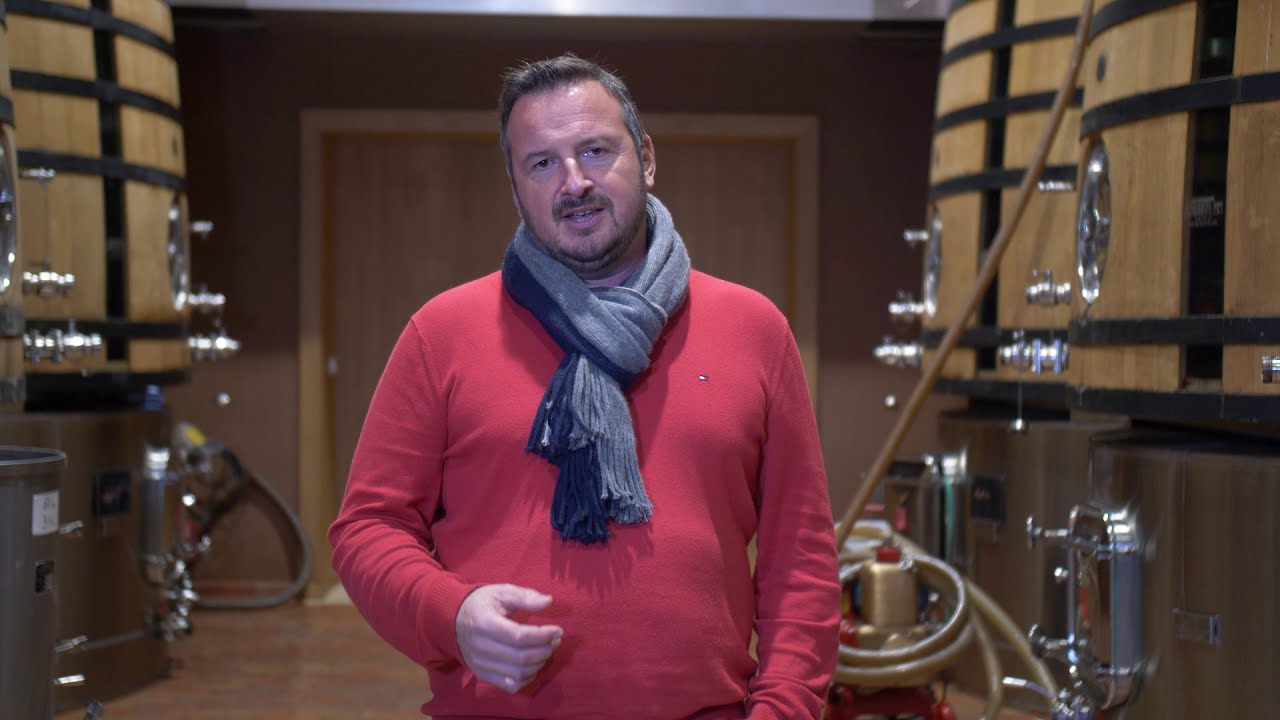 JTVigneVinBio21 - Les vins sans sulfites ajoutés : quand on maîtrise, c'est bon !