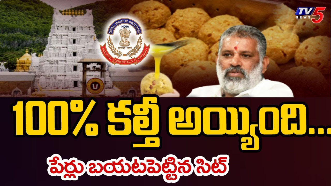 100% కల్తీ అయ్యింది...Chevireddy Bhaskar Reddy - SIT Investigation IN Tirumala Laddu Case | TV5 News