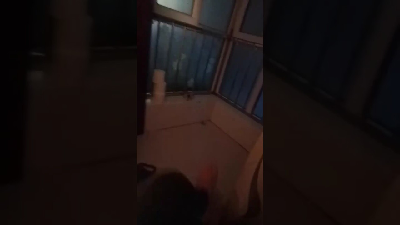半夜被窗外啪啪声吵醒，看了下，真疯狂