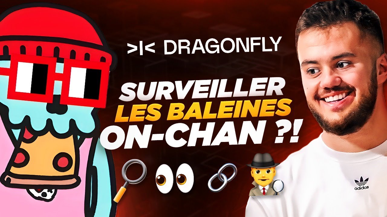 Payé par des GÉANTS pour analyser la Blockchain 👀 Discussion avec Hildobby