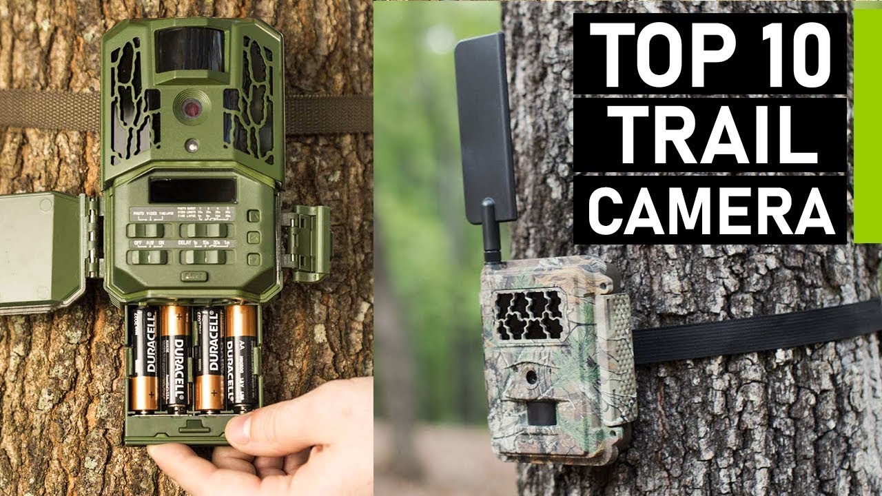 Top 10 Best Trail Cameras | 4K & Cellular Game Camera