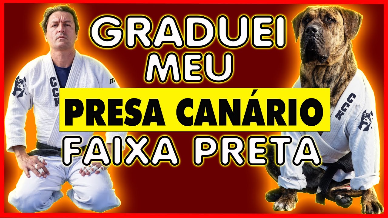 O CACHORRO QUE MORDIA TODO MUNDO. &Uacute;LTIMO CAP&Iacute;TULO DA SAGA HARU#6 - PARTE 2